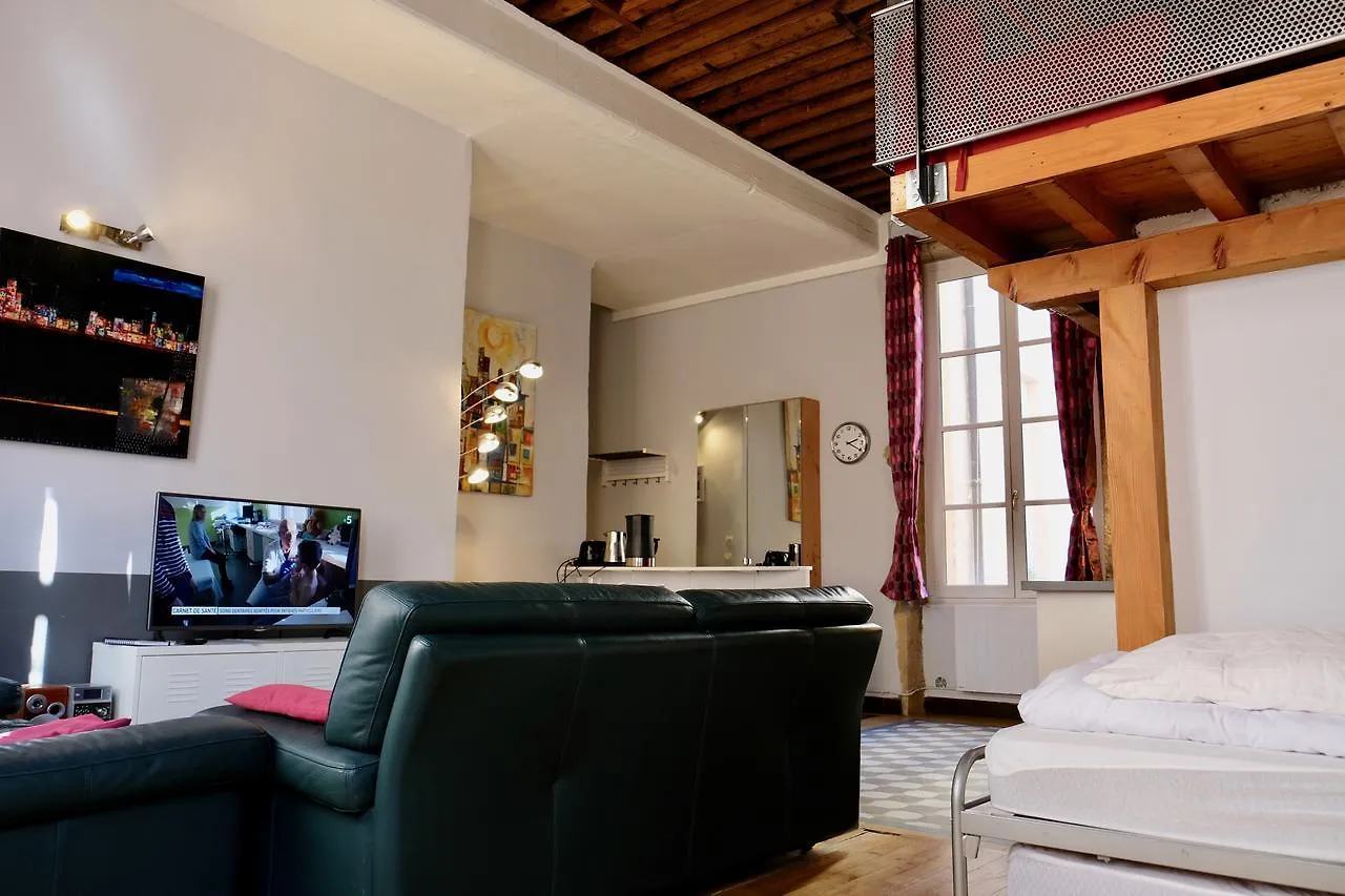 Apartment Le Loft Des Canuts Hotel Lyon