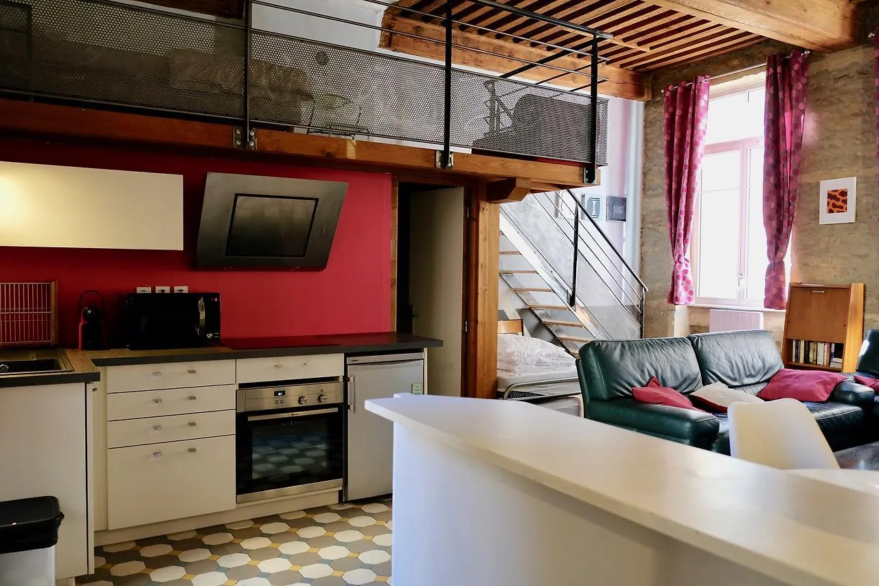 Apartment Le Loft Des Canuts Hotel Lyon